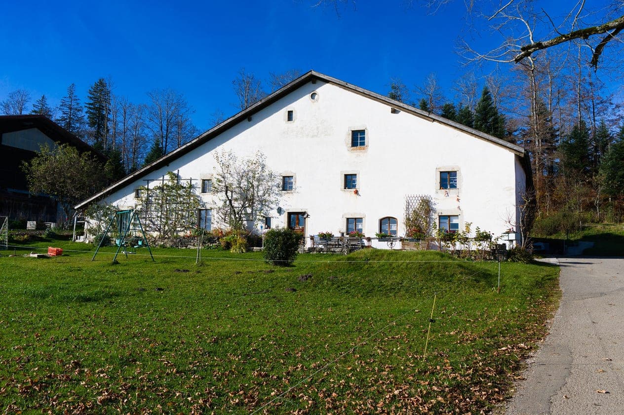 Außenanlage ergänzen (Vorher)
