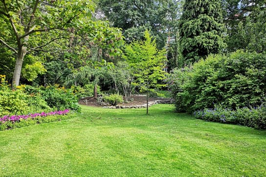 Gartengestaltung (Vorher)